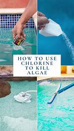 Does Pool Algae Eat Chlorine