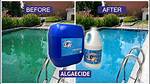 Does Pool Algaecide Expire?