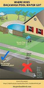 Does Pool Backwash Harm Trees?