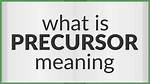 Does Precursor Mean Forerunner?