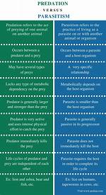 Does Predation Differ from Parasitism?