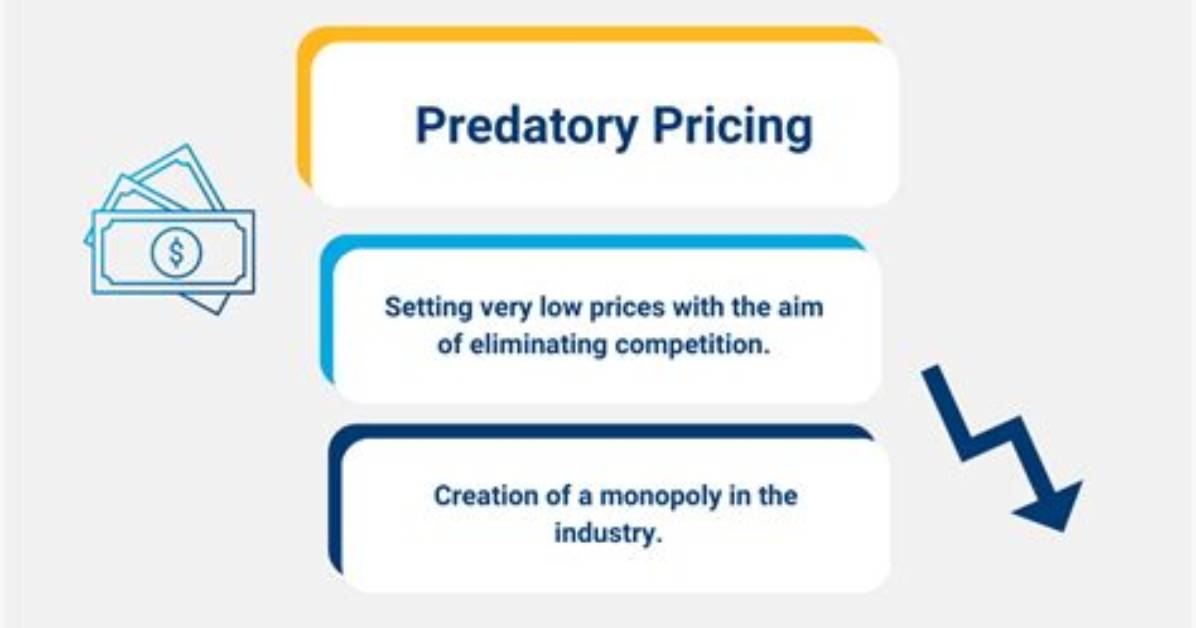 Does Predatory Pricing Mean?