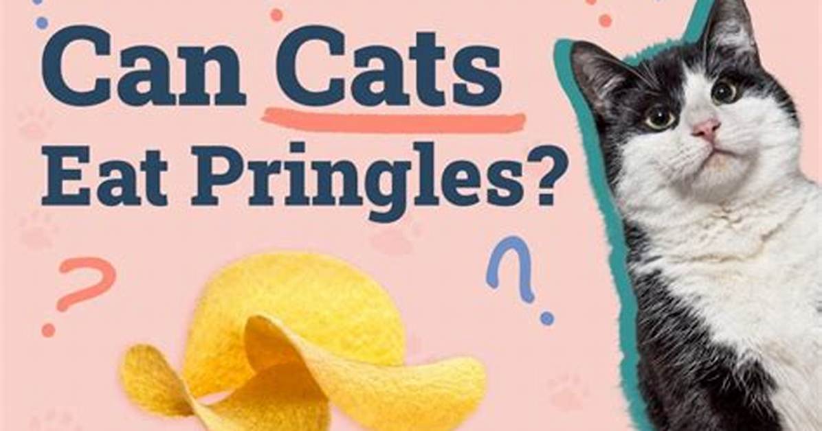 Does Pringles Test on Animals?