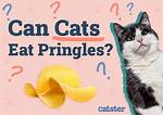 Does Pringles Test on Animals?