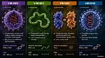 Does Prions Have Viroids?