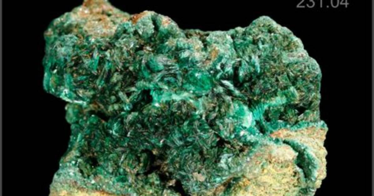 Does Protactinium React to Other Elements?