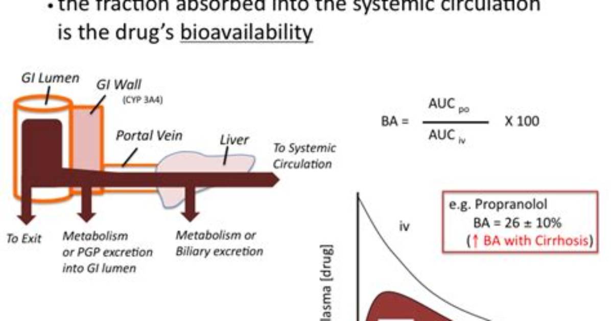 Does Protein Binding Affect Bioavailability