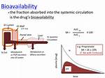 Does Protein Binding Affect Bioavailability