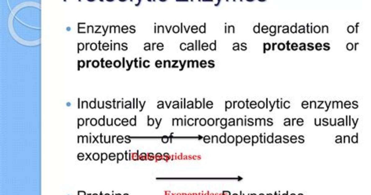 Does Proteolytic Enzymes Work?