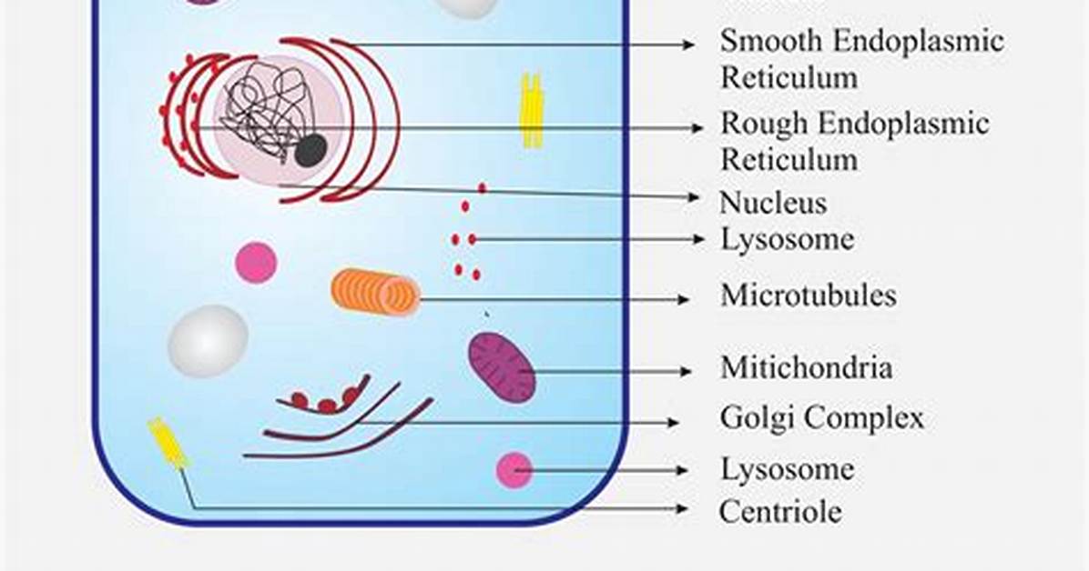 Does Protoplasm Include Plasma Membrane?