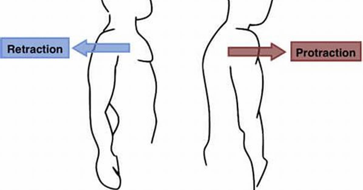 Does Protracted Mean Long?