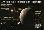 Does Proxima Centauri B Have Water?