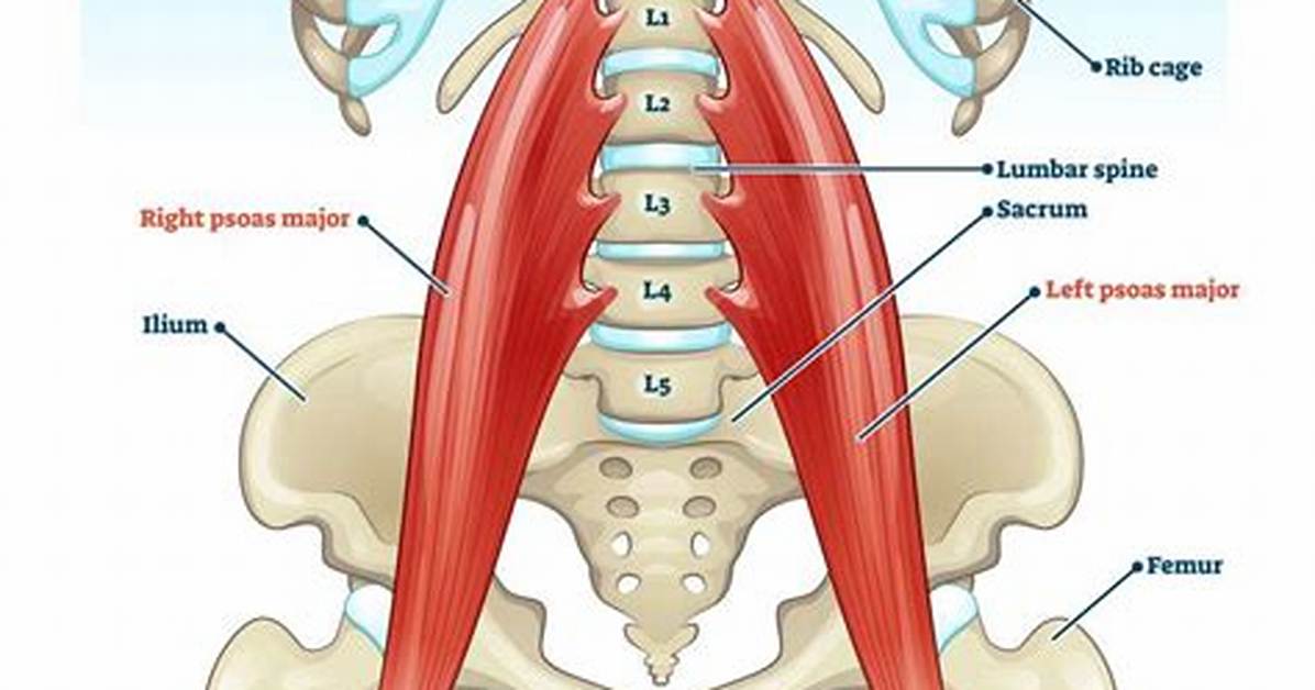 Does Psoas Release Hurt?