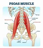 Does Psoas Release Hurt?