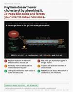 Does Psyllium Absorb Fat