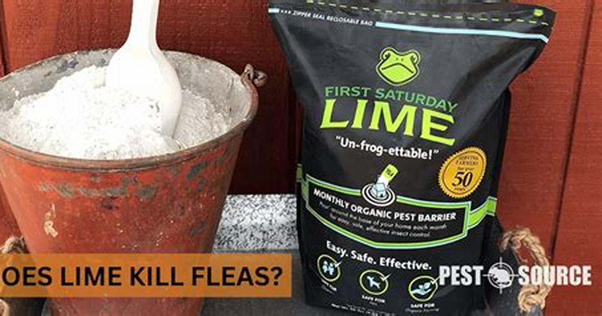 Does Pulverized Lime Kill Fleas?