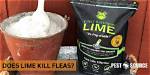 Does Pulverized Lime Kill Fleas?
