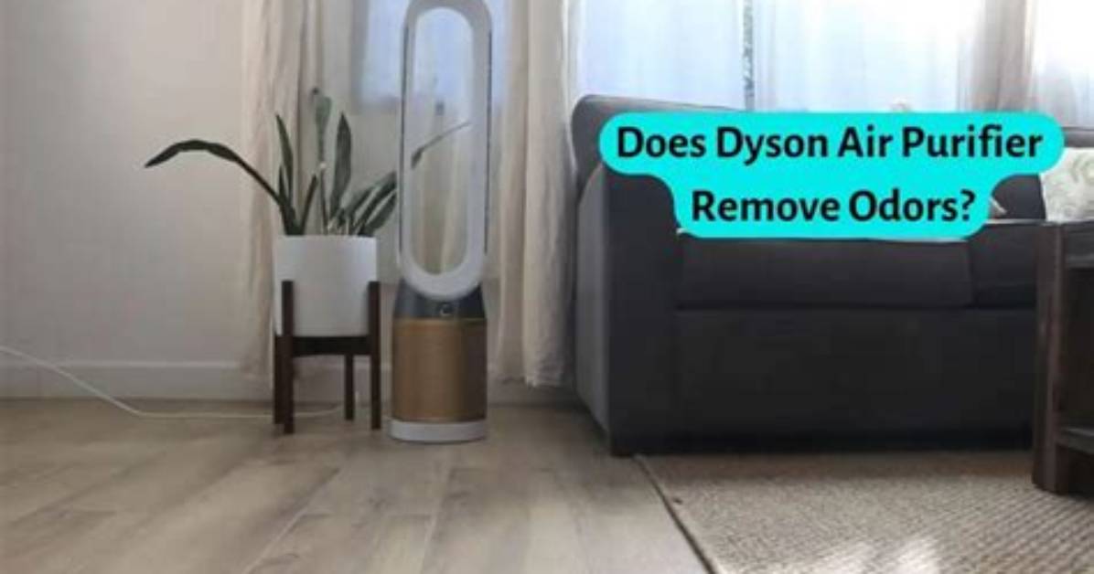 Does Purigen Remove Odors