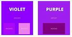 Does Purple and Violet the Same?
