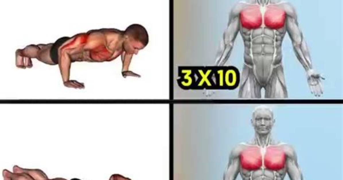 Does Pushups Reduce Chest Fat?