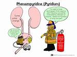 Does Pyridium Cause Nausea?