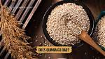 Does Quinoa Go Bad?