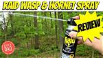 Does Raid Wasp Spray Kill Bees? Check This out – Does Wasp Spray Kill Bees