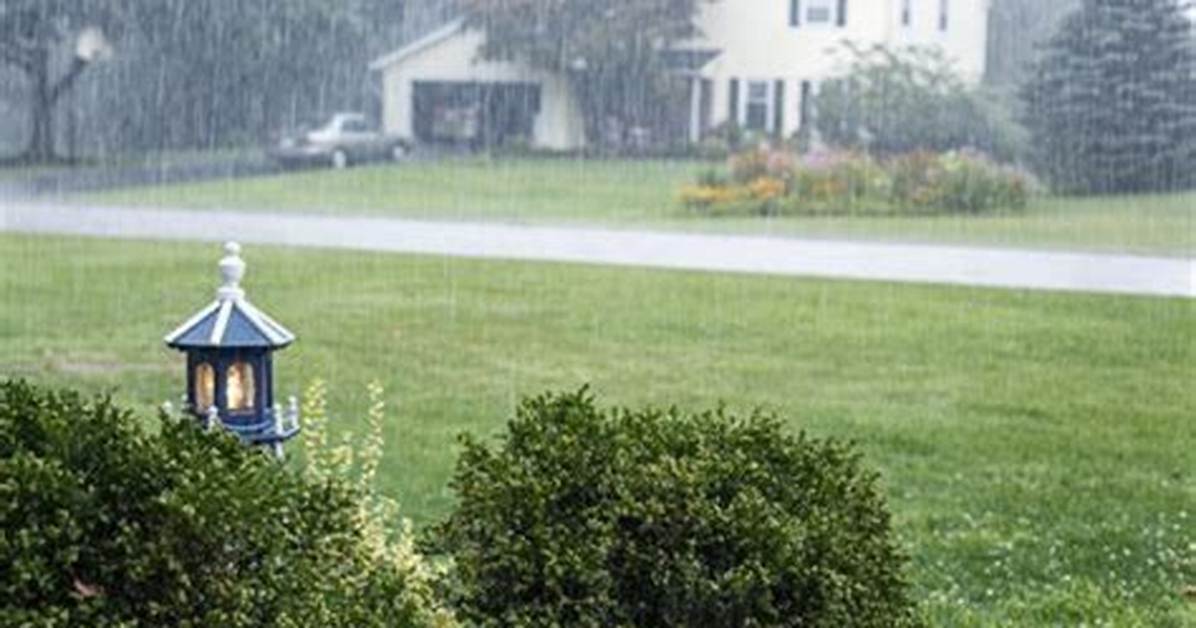 Does Rain Affect Bug Spray