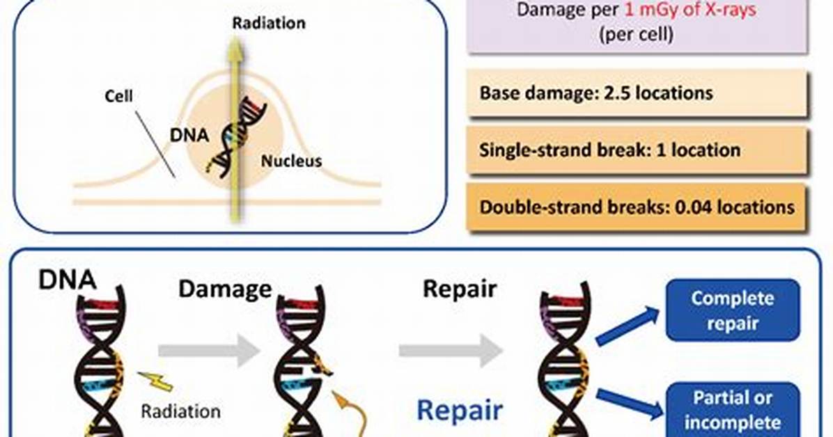 Does Rain Destroy Dna?