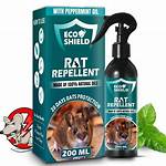 Does Rat Repellent Spray Work?