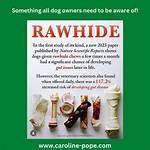 Does Rawhide Cause Diarrhea?