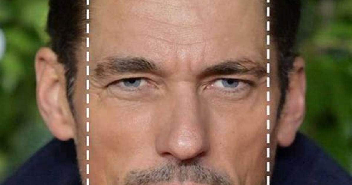 Does Rectangle Have Face?