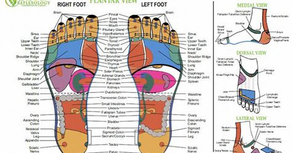 Does Reflexology Actually Work?