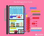 Does Refrigerators Use Freon?