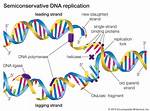 Does Replication Introduce Systematic Variation?