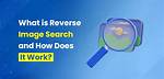 Does Reverse Image Search Work with Screenshots?