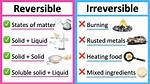Does Reversible Have a Prefix?