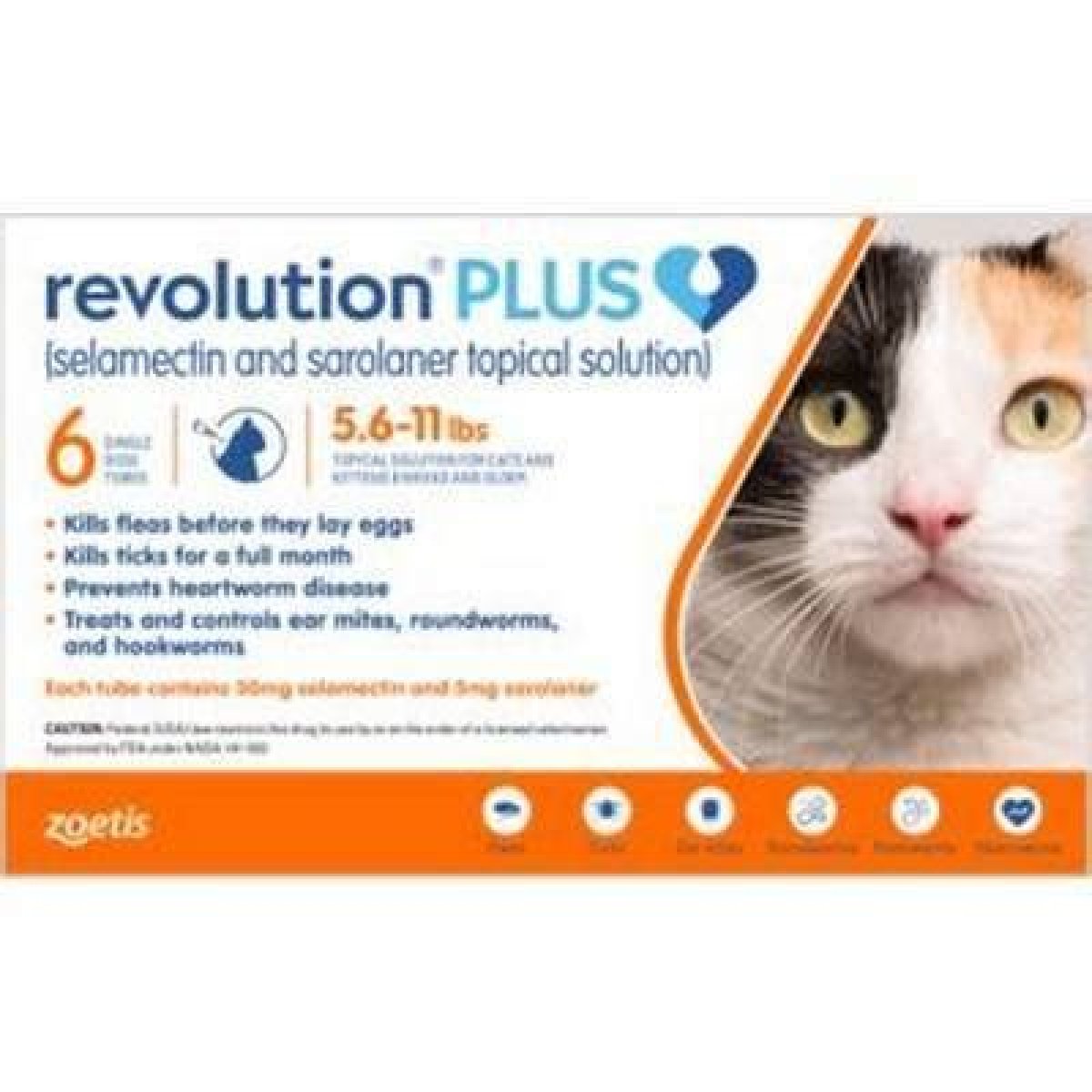 Does Revolution Prevent Heartworm?
