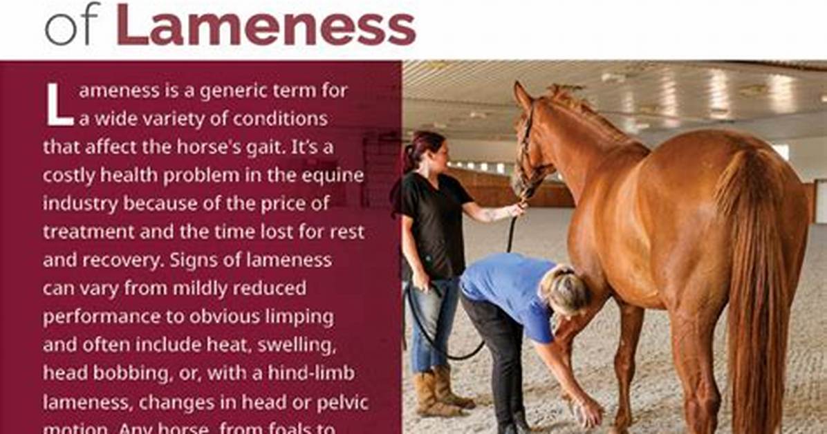 Does Ringbone Cause Lameness?
