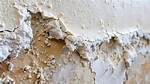 Does Rising Damp Exist?