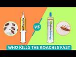 Does Roach Gel Kill Ants