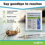 Does Roach Gel Work
