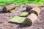 Does Rolling Damage Grass