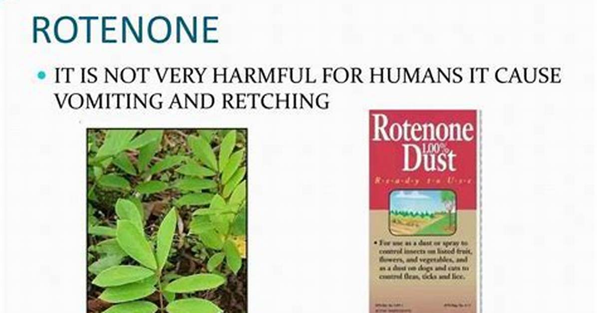 Does Rotenone Kill Bees?