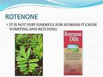 Does Rotenone Kill Bees?