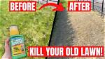 Does Roundup Kill Grass Roots?