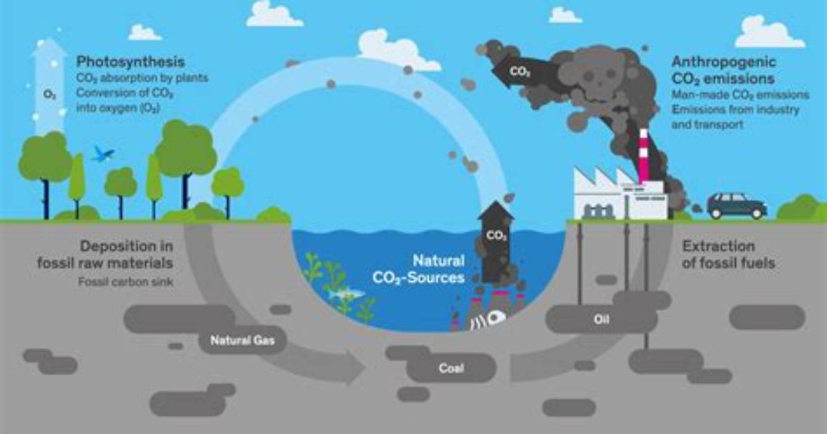 Does Rusting Release Carbon Dioxide?
