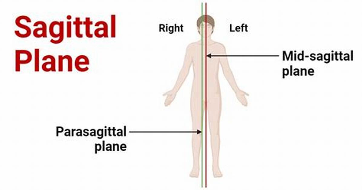 Does Sagittal Plane Mean?