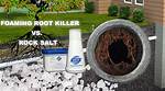 Does Salt Kill Roots