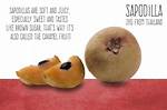Does Sapodilla Increase Weight?
